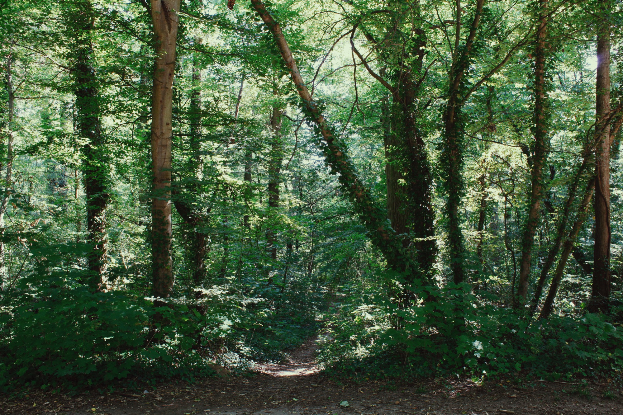 Logo após nossa saída, passamos pelo Parque Floresta Nacional de la Poudrerie de Sevran Livry.